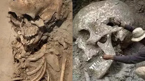 巨人遗骸挖掘内幕