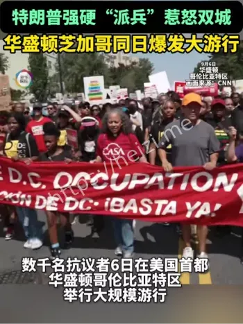 华盛顿抗议