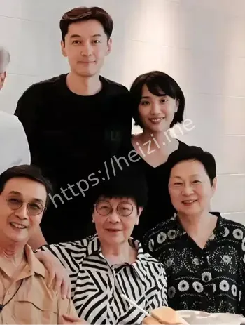 胡歌二胎