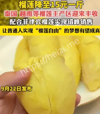 榴莲降至15元